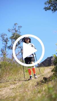 BIB:  <button type="button" onclick="openModal(26597223)" class="btn btn-primary btn-sm float-right" data-toggle="modal" data-target=".modal-high-quality">
                <i class="fa fa-download"></i> Download
                </button>